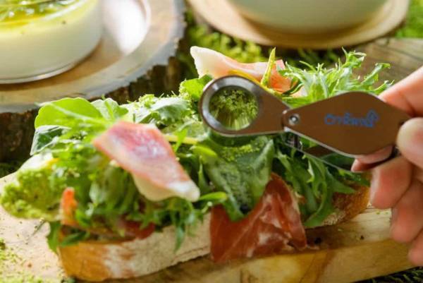 【奥入瀬渓流ホテル】苔10周年記念！ 朝から晩まで苔三昧の宿泊プラン「おいらせ苔旅」提供 | 予約開始日：2023年6月13日／期間：2023年6月24日〜2024年6月19日