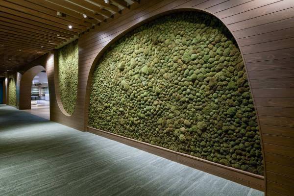 【奥入瀬渓流ホテル】苔10周年記念！ 朝から晩まで苔三昧の宿泊プラン「おいらせ苔旅」提供 | 予約開始日：2023年6月13日／期間：2023年6月24日〜2024年6月19日