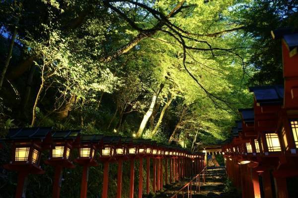 ～ もみじのトンネルを抜けて清涼感たっぷりの洛北へ ～ 「青もみじ新緑の徐行運転」を実施します