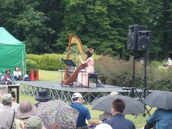神代植物公園「秋のバラフェスタ」開催