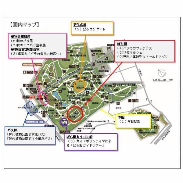 神代植物公園「秋のバラフェスタ」開催