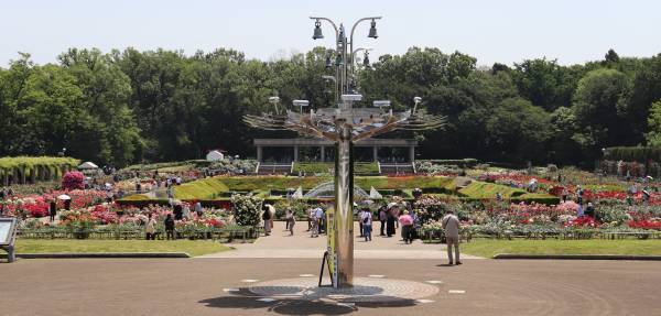 神代植物公園「秋のバラフェスタ」開催