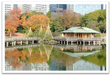 【10/14~開催】第16回　都立庭園　紅葉めぐりスタンプラリー