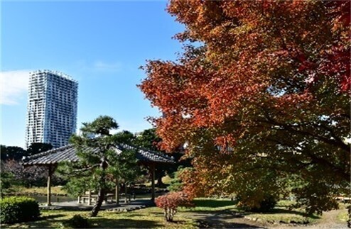 【10/14~開催】第16回　都立庭園　紅葉めぐりスタンプラリー