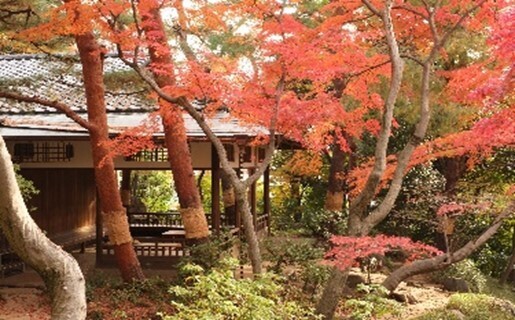 【10/14~開催】第16回　都立庭園　紅葉めぐりスタンプラリー