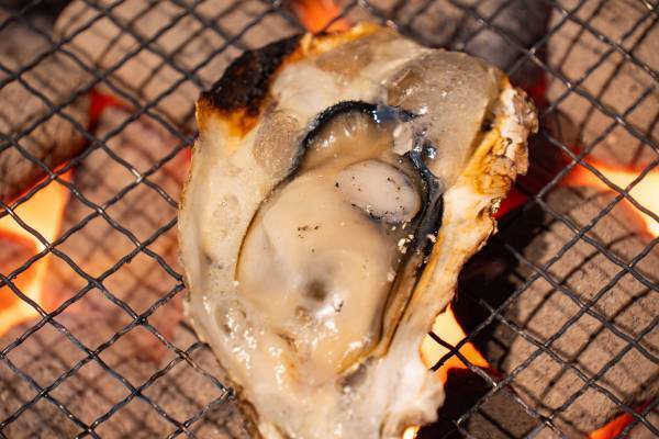 【BBQ&Co】「冬BBQ」で年末も新春も、熱々ホクホクのBBQ鍋で心も体も温まろう！バーベキューアンドコーが贈る新たな忘年会・新年会スタイル！