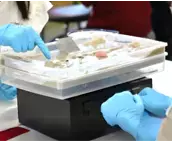 映画館で防災を楽しく学ぼう！  CINE LAB「わくわく実験教室！～知って納得、災害の仕組み〜」 2024年1月14日（日）ＯＳシネマズ神戸ハーバーランドにて開催！