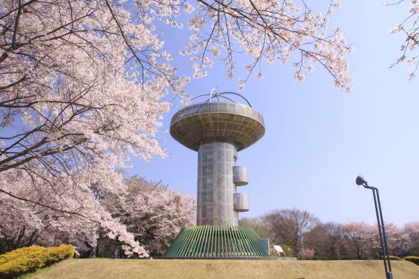 【茨城県日立市】４月１日（土）～９日（日）「日立さくらまつり」開催！
