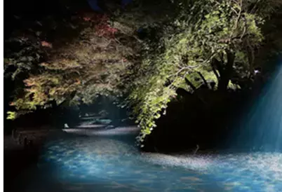 【11/22～12/3開催】庭紅葉の六義園　夜間特別観賞