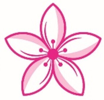 【11/22～12/3開催】庭紅葉の六義園　夜間特別観賞