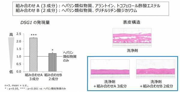 外部刺激にゆらぎにくく健やかな肌へ、ヘパリン類似物質研究に新知見