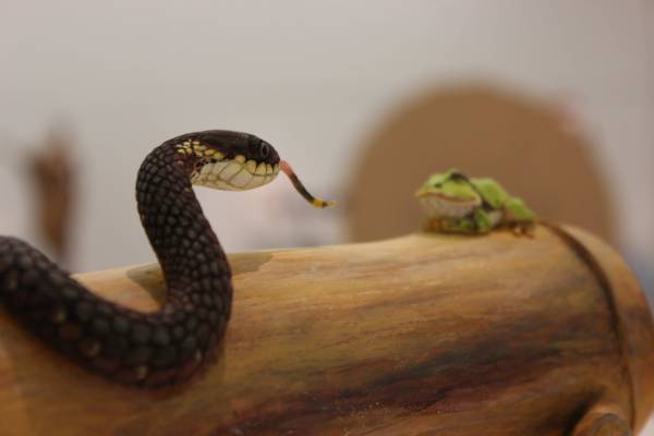 「テノール歌手」と「彫刻家」の二刀流。 秋川雅史が3年連続で「二科展」入選！