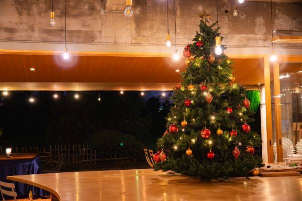 【BBQ&Co】予約特典としてフルーツ入りのおしゃれなスパークリングカクテル「ベリーフィズ」１杯を人数分プレゼント！Xmasは歴史ロマンあふれる明石公園のカフェ＆バー「TTT」で！