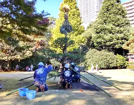 【殿ヶ谷戸庭園】11/18～「秋の催し」開催