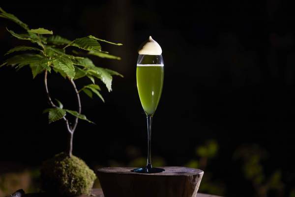 【奥入瀬渓流ホテル】早春の花咲く苔を愛でるプログラム「春のお苔見（こけみ）」新登場～夜闇に輝く苔の花を観察します～｜期間：2023年4月15日〜5月7日