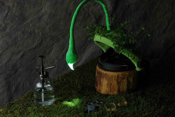 【奥入瀬渓流ホテル】早春の花咲く苔を愛でるプログラム「春のお苔見（こけみ）」新登場～夜闇に輝く苔の花を観察します～｜期間：2023年4月15日〜5月7日