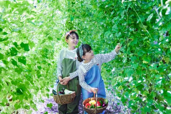 【星野リゾート　リゾナーレ（トマム、那須、八ヶ岳、熱海、小浜島）】大自然を舞台に楽しく学べる「リゾナーレの自由研究」開催！～非日常的な体験で、地域の魅力や特色を学ぶ～｜期間：2023年7月22日〜8月31日 （施設によって異なります）