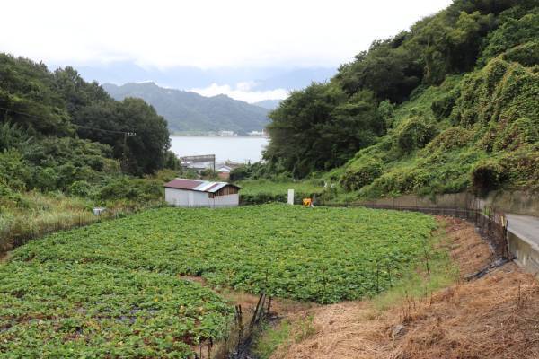 ＼数量限定／幻のさつまいも&沖縄の自然が育んだ紅芋！秋の味覚を味わう、ほっこりおいしいお芋のスイーツペースト3種が季節限定で登場【久世福商店】