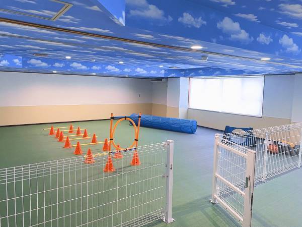 ドッグラン新設＆ワンちゃん部屋増室 「ゆとりろ洞爺湖」が愛犬家に優しい宿へバージョンアップ