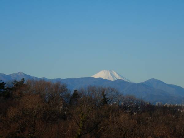 桜ヶ丘公園　１月ガイドウォーク　1月28日（土）開催！