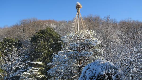 桜ヶ丘公園　１月ガイドウォーク　1月28日（土）開催！