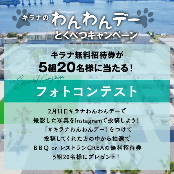 毎月11日は「キラナわんわんデー」へ！わんこ大歓迎イベントを2月11日（土）に初回開催【キラナガーデン豊洲】