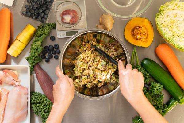 毎月11日は「キラナわんわんデー」へ！わんこ大歓迎イベントを2月11日（土）に初回開催【キラナガーデン豊洲】