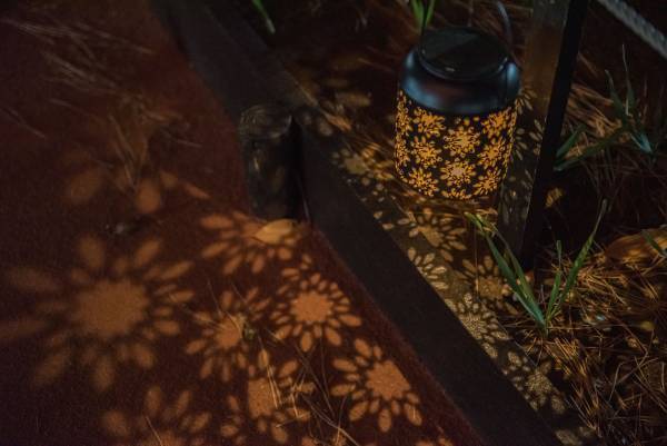 【3月5日(日)まで好評開催中】都立公園最大のスイセン花壇が見頃！太陽光ライトアップで今年は夜も楽しめます！「花と光のムーブメント 葛西臨海公園×スイセン」