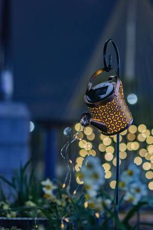 【3月5日(日)まで好評開催中】都立公園最大のスイセン花壇が見頃！太陽光ライトアップで今年は夜も楽しめます！「花と光のムーブメント 葛西臨海公園×スイセン」