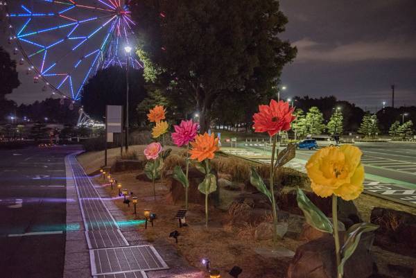 【3月5日(日)まで好評開催中】都立公園最大のスイセン花壇が見頃！太陽光ライトアップで今年は夜も楽しめます！「花と光のムーブメント 葛西臨海公園×スイセン」