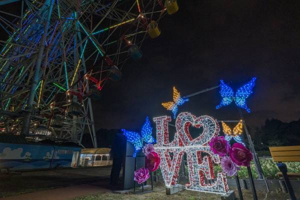 【3月5日(日)まで好評開催中】都立公園最大のスイセン花壇が見頃！太陽光ライトアップで今年は夜も楽しめます！「花と光のムーブメント 葛西臨海公園×スイセン」