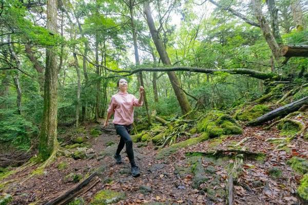 【星のや富士】全身で樹海の自然を感じるウェルネスプログラム「樹海リトリート」開催 ～心身を緩める入浴や香りを楽しむリラックス体験もご用意～｜期間：2023年4月1日～9月30日