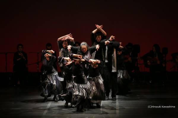 日本フラメンコ界スターが集結　全国６都市で開催決定『フラメンコのちから ～The Power of Flamenco～』　カンフェティでチケット発売
