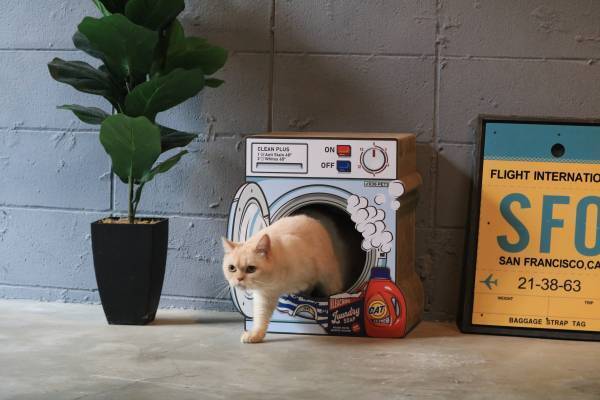 猫好き集まれー!！ お待たせしました！！ 大人気の爪とぎが再入荷します！