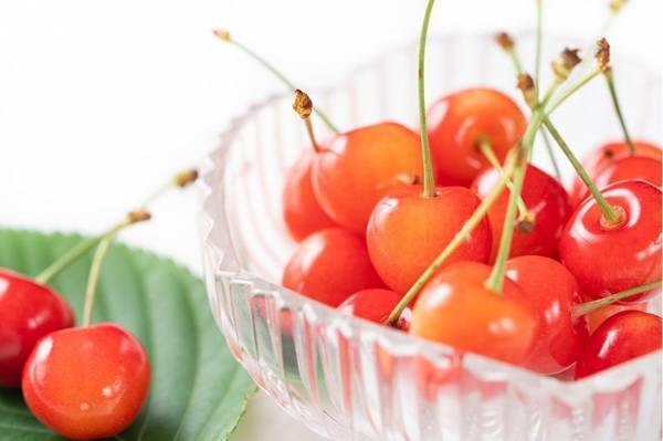 フルーツ王国やまなしで堪能！山梨県産「さくらんぼ」食べ放題付宿泊プランを大江戸温泉物語 石和温泉 ホテル新光（山梨県）が販売開始