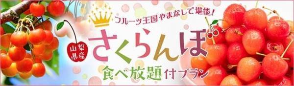 フルーツ王国やまなしで堪能！山梨県産「さくらんぼ」食べ放題付宿泊プランを大江戸温泉物語 石和温泉 ホテル新光（山梨県）が販売開始