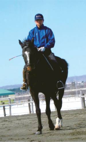 三木田照明 著『馬の言葉に耳を傾けて　続・「馬楽のすすめ」 極上の乗馬指導術』2023年7月7日刊行