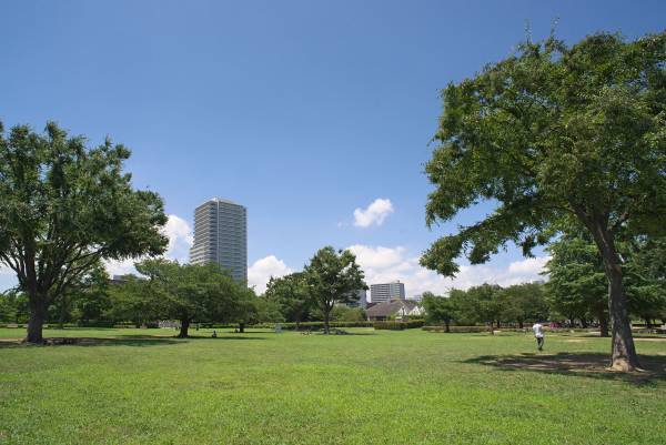 木場キッズリアムのイベント【木場公園】おやこでどろんこあそび開催！！
