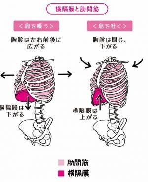 奥仲哲弥 著『１回１分！100歳でも息切れなし！長生き呼吸』2023年10月24日刊行