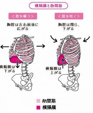 奥仲哲弥 著『１回１分！100歳でも息切れなし！長生き呼吸』2023年10月24日刊行