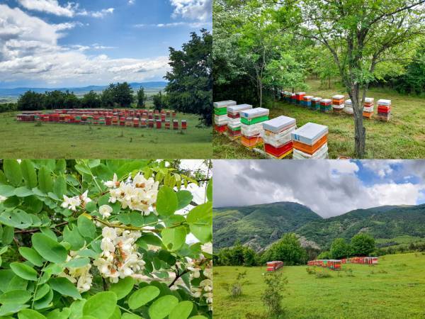 ディズニー「くまのプーさん」のはちみつボトルが新登場！使いやすくて可愛いはちみつを毎日の食卓に【クインビーガーデン】