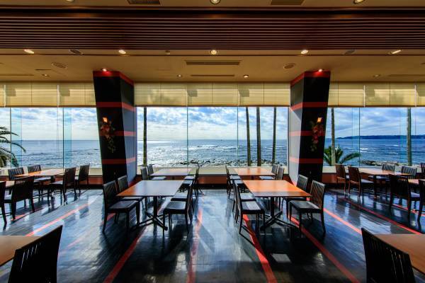 房総半島でカニを食べ尽くせ！12月より期間限定でカニ食べ放題付きバイキングプラン開始【ホテルグリーンプラザ鴨川】