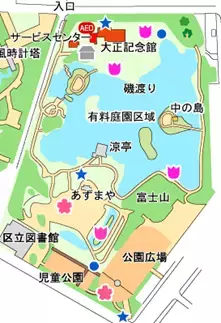 清澄庭園のハナショウブが見頃入り！イベント「花菖蒲と遊ぶ」も開催中！