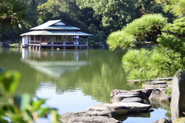 清澄庭園のハナショウブが見頃入り！イベント「花菖蒲と遊ぶ」も開催中！