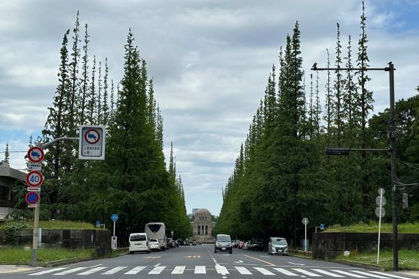 神宮外苑1000本の樹木が伐採の危機？坂本龍一さんが問題視した神宮外苑再開発をどう思う？Surfvoteで意見投票開始