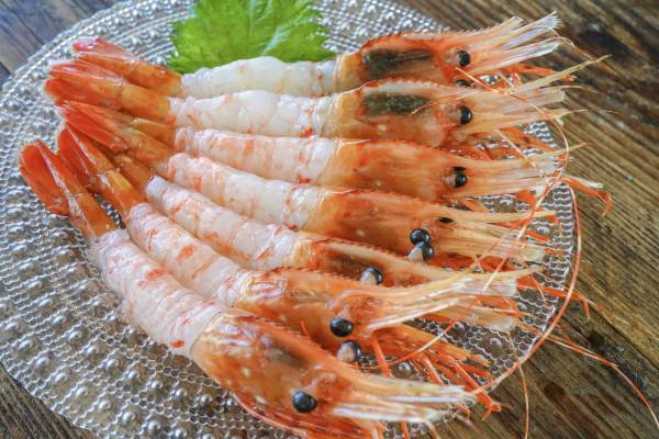 ＼ リピート確定！／たびふくスタッフが「自腹」で買った、絶品お取り寄せグルメ８選を3/28に公開！【旅する久世福e商店】