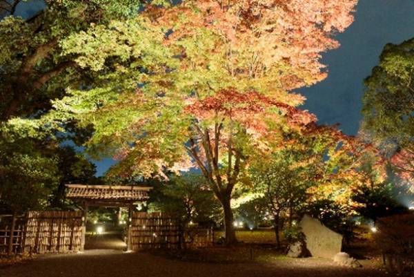 【11/22～開催】庭紅葉の六義園　夜間特別観賞