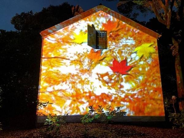 【11/22～開催】庭紅葉の六義園　夜間特別観賞