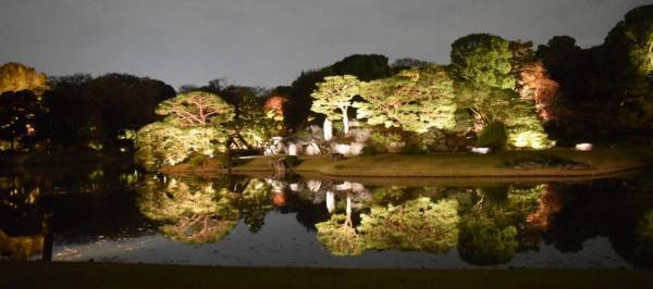 【11/22～開催】庭紅葉の六義園　夜間特別観賞
