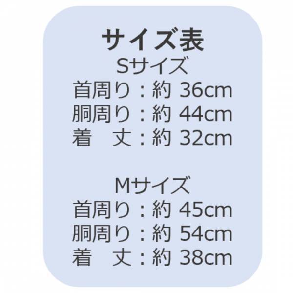ペットも冬へ衣替え！ おしゃれなペットウェアの新商品を販売いたします！